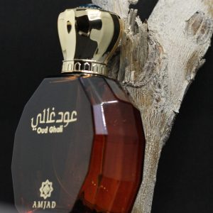 Oud Gali