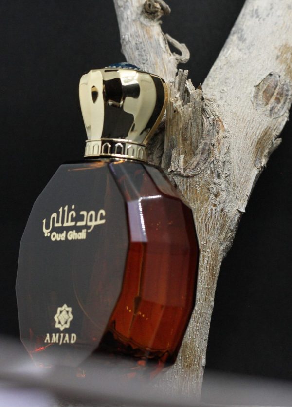 Oud Gali